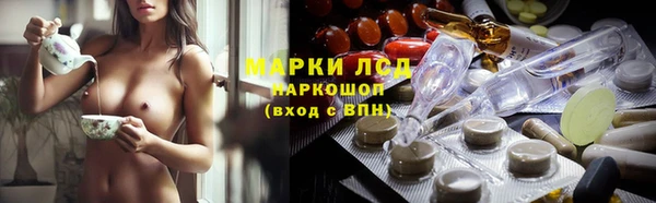 СК Вязьма