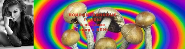 крисы Усолье-Сибирское