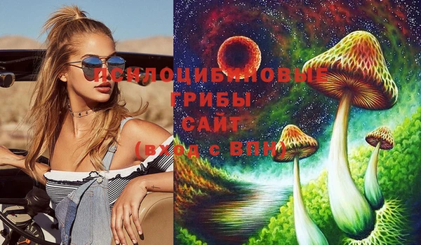 мет Вяземский