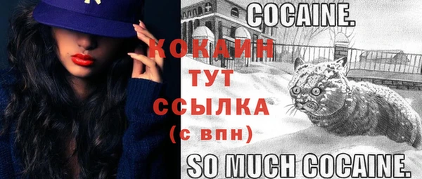 мет Вяземский
