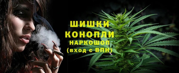 молекула духа Гусев