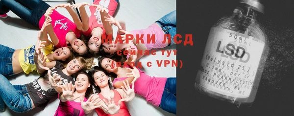 apvp Вязники
