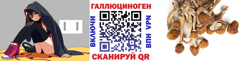 Галлюциногенные грибы Psilocybe  как найти закладки  OMG ТОР  Дорогобуж 